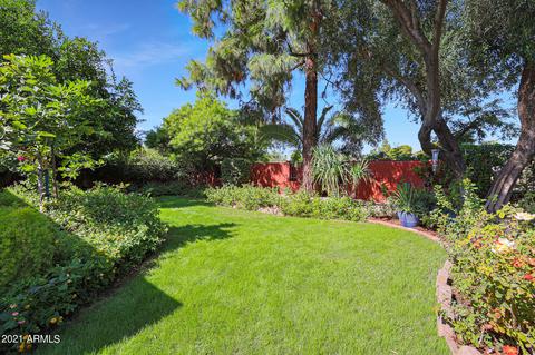 2916 E Las Rocas Dr, Phoenix, AZ 85028 photo 60