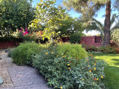2916 E Las Rocas Dr, Phoenix, AZ 85028 photo 62
