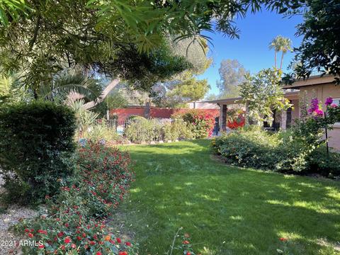 2916 E Las Rocas Dr, Phoenix, AZ 85028 photo 2