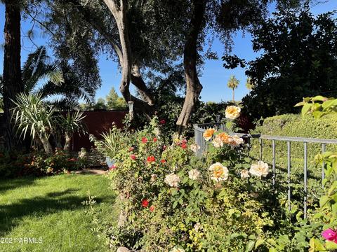 2916 E Las Rocas Dr, Phoenix, AZ 85028 photo 58