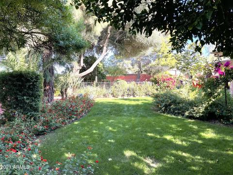2916 E Las Rocas Dr, Phoenix, AZ 85028 photo 61