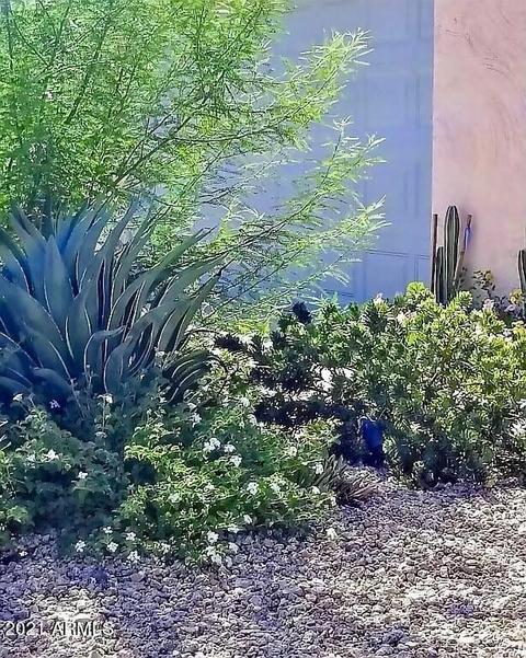 2916 E Las Rocas Dr, Phoenix, AZ 85028 photo 10