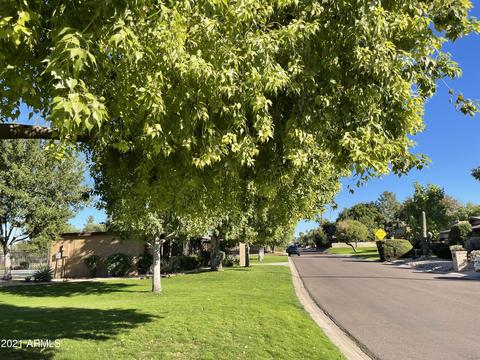 2916 E Las Rocas Dr, Phoenix, AZ 85028 photo 76