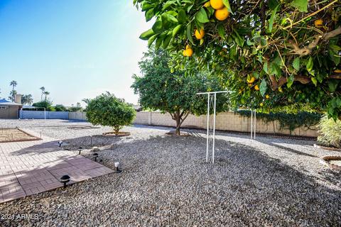 4737 E Flower Cir, Mesa, AZ 85206 photo 6