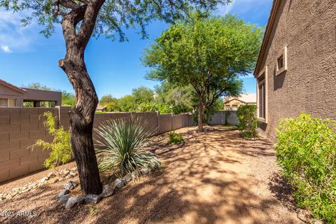 6942 E Teton Cir, Mesa, AZ 85207 photo 53