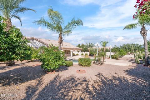 103 S Marin Dr, Gilbert, AZ 85296 photo 23
