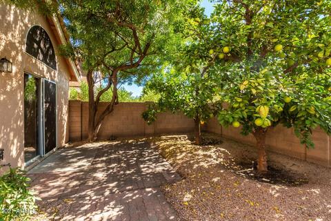 6455 E Sugarloaf St, Mesa, AZ 85215 photo 27