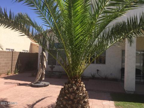 4626 E Desert Willow Rd, Phoenix, AZ 85044 photo 20