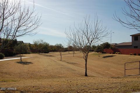 10143 E Lobo Ave, Mesa, AZ 85209 photo 49