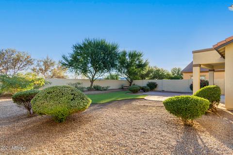 10143 E Lobo Ave, Mesa, AZ 85209 photo 43