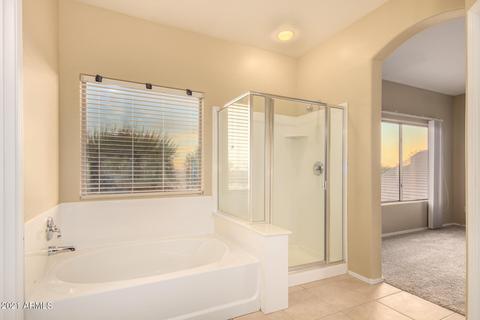 10143 E Lobo Ave, Mesa, AZ 85209 photo 23