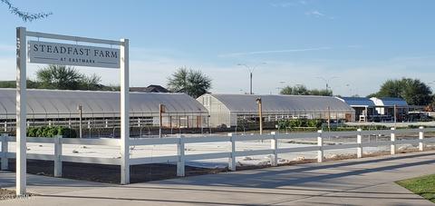 10518 E Corbin Ave, Mesa, AZ 85212 photo 24