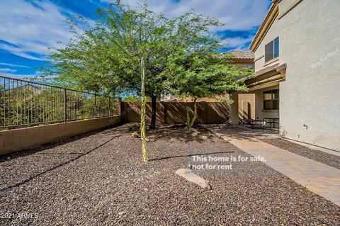 3919 E Branham Ln, Phoenix, AZ 85042 photo 19
