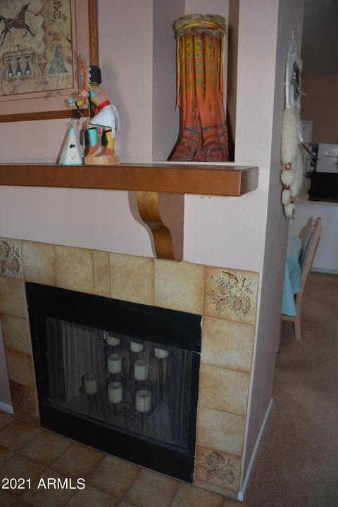 455 S Delaware Dr #10, Apache Junction, AZ 85120 photo 4