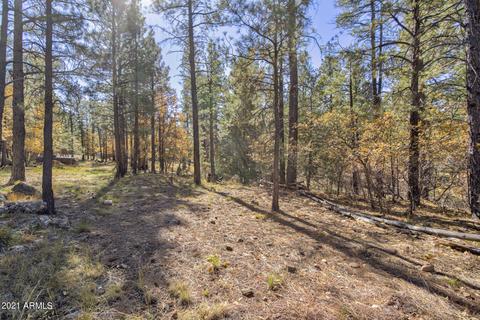 1123 Coconino Loop, Happy Jack, AZ 86024 photo 27