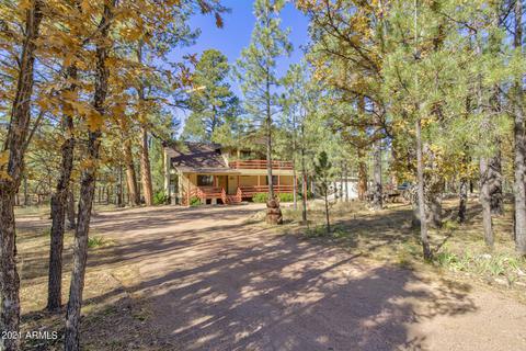 1123 Coconino Loop, Happy Jack, AZ 86024 photo 31