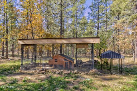 1123 Coconino Loop, Happy Jack, AZ 86024 photo 25