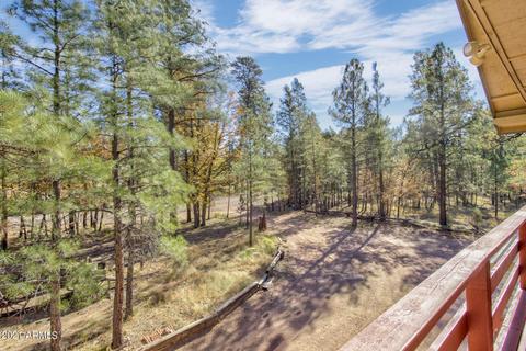 1123 Coconino Loop, Happy Jack, AZ 86024 photo 13
