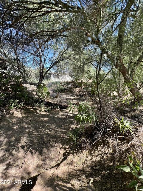 3057 W Manzanita St, Apache Junction, AZ 85120 photo 12