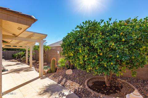 11041 E Nopal --, Mesa, AZ 85209 photo 33