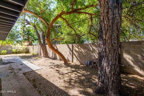 612 N Date St, Mesa, AZ 85201 photo 32