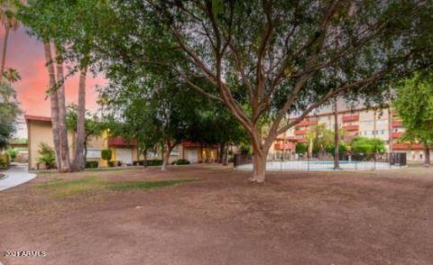 357 E Thomas Rd #A209, Phoenix, AZ 85012 photo 11