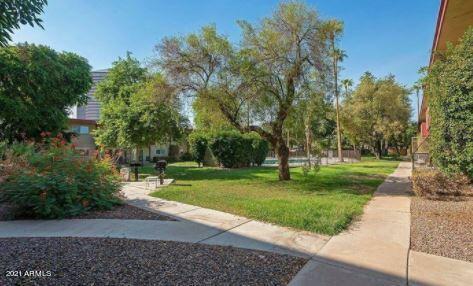 357 E Thomas Rd #A209, Phoenix, AZ 85012 photo 7