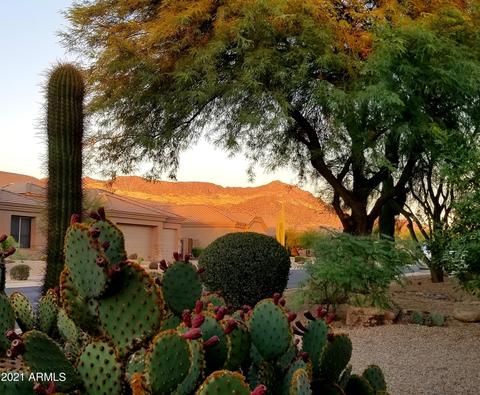 9357 E Nora St, Mesa, AZ 85207 photo 32