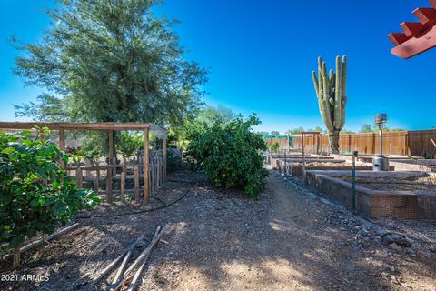 806 E Blue Eagle Ln, Phoenix, AZ 85086 photo 41