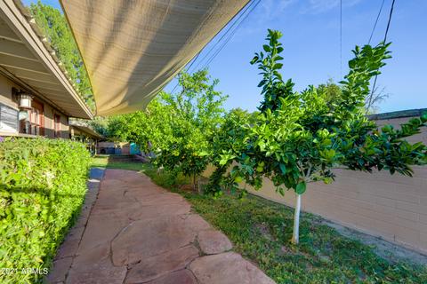 321 E Aepli Dr, Tempe, AZ 85282 photo 17