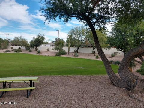 453 E Marigold Ln, Tempe, AZ 85288 photo 23