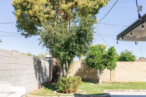 1132 E 6th Pl, Mesa, AZ 85203 photo 47