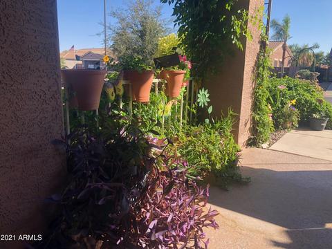 3664 E Oxford Ln, Gilbert, AZ 85295 photo 10