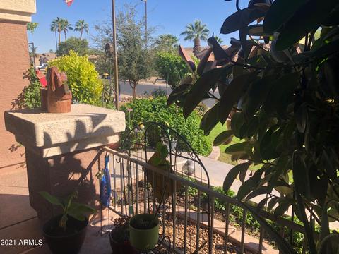 3664 E Oxford Ln, Gilbert, AZ 85295 photo 11
