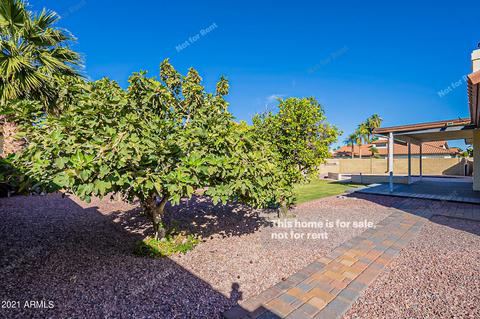 702 E Silver Creek Rd, Gilbert, AZ 85296 photo 33