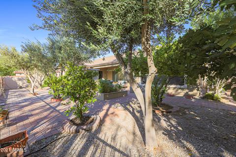 5009 W Range Mule Dr, Phoenix, AZ 85083 photo 54