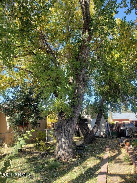 202 W Pecan St, Payson, AZ 85541 photo 10