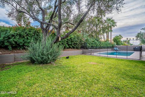 311 E Voltaire Ave, Phoenix, AZ 85022 photo 58