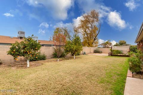 1746 E Hope St, Mesa, AZ 85203 photo 41