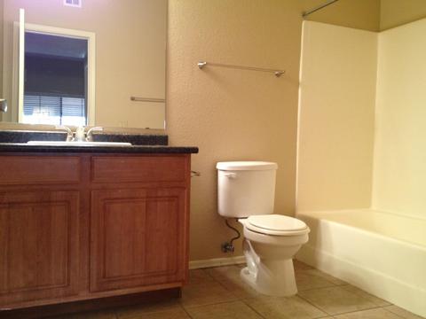 3434 E Baseline Rd #258, Phoenix, AZ 85042 photo 9