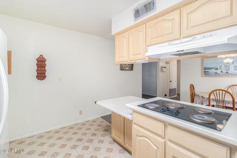 6247 E Dallas St, Mesa, AZ 85205 photo 14