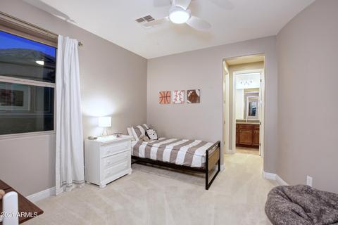 3609 E Cat Balue Dr, Phoenix, AZ 85050 photo 20
