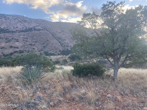 tbd Hannon Ranch Ln #110-51-013-B9, Bisbee, AZ 85603 photo 5
