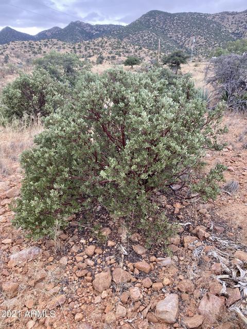 tbd Hannon Ranch Ln #110-51-013-B9, Bisbee, AZ 85603 photo 18