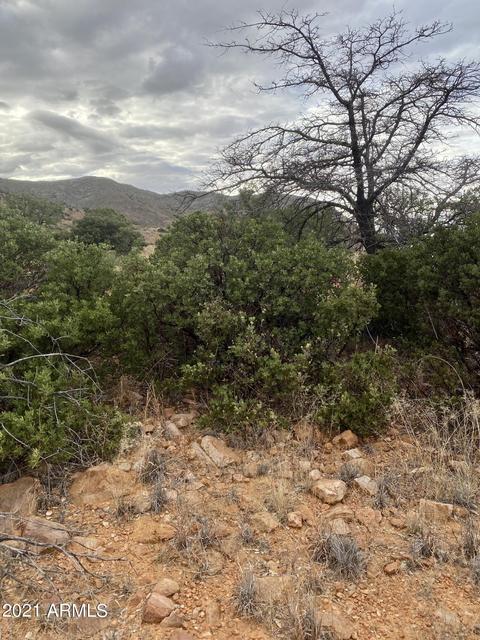 tbd Hannon Ranch Ln #110-51-013-B9, Bisbee, AZ 85603 photo 25