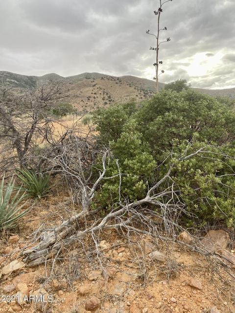 tbd Hannon Ranch Ln #110-51-013-B9, Bisbee, AZ 85603 photo 26
