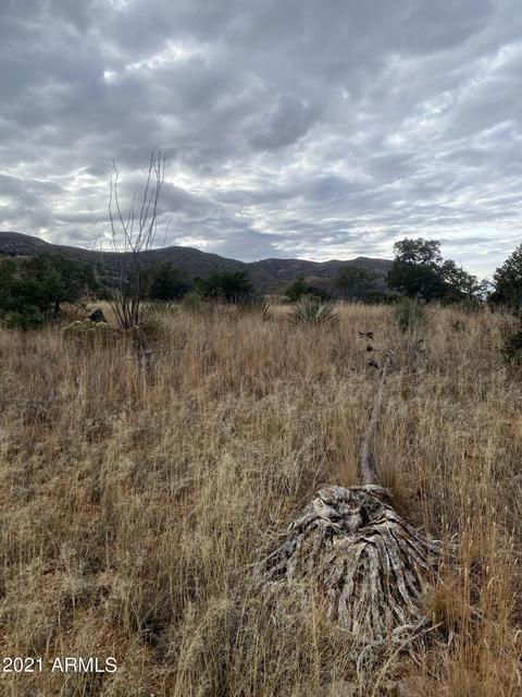 tbd Hannon Ranch Ln #110-51-013-B9, Bisbee, AZ 85603 photo 21