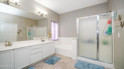 1079 S Oak Ct, Gilbert, AZ 85233 photo 13