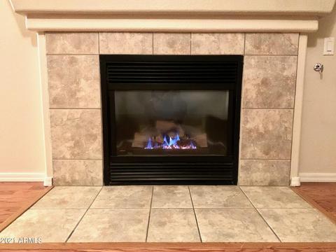 888 S Roca St, Gilbert, AZ 85296 photo 5