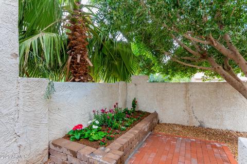 540 S Sunrise Dr, Gilbert, AZ 85233 photo 33